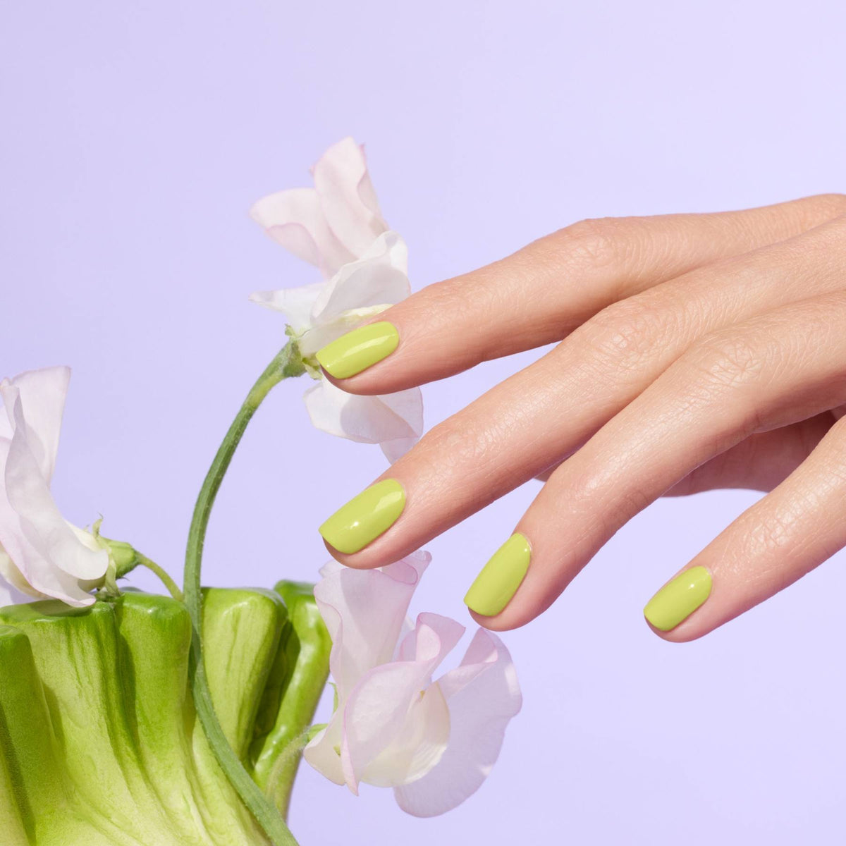 A hand with Manucurist Lime gel polish manicure touches delicate pale pink flowers against a pastel purple background.