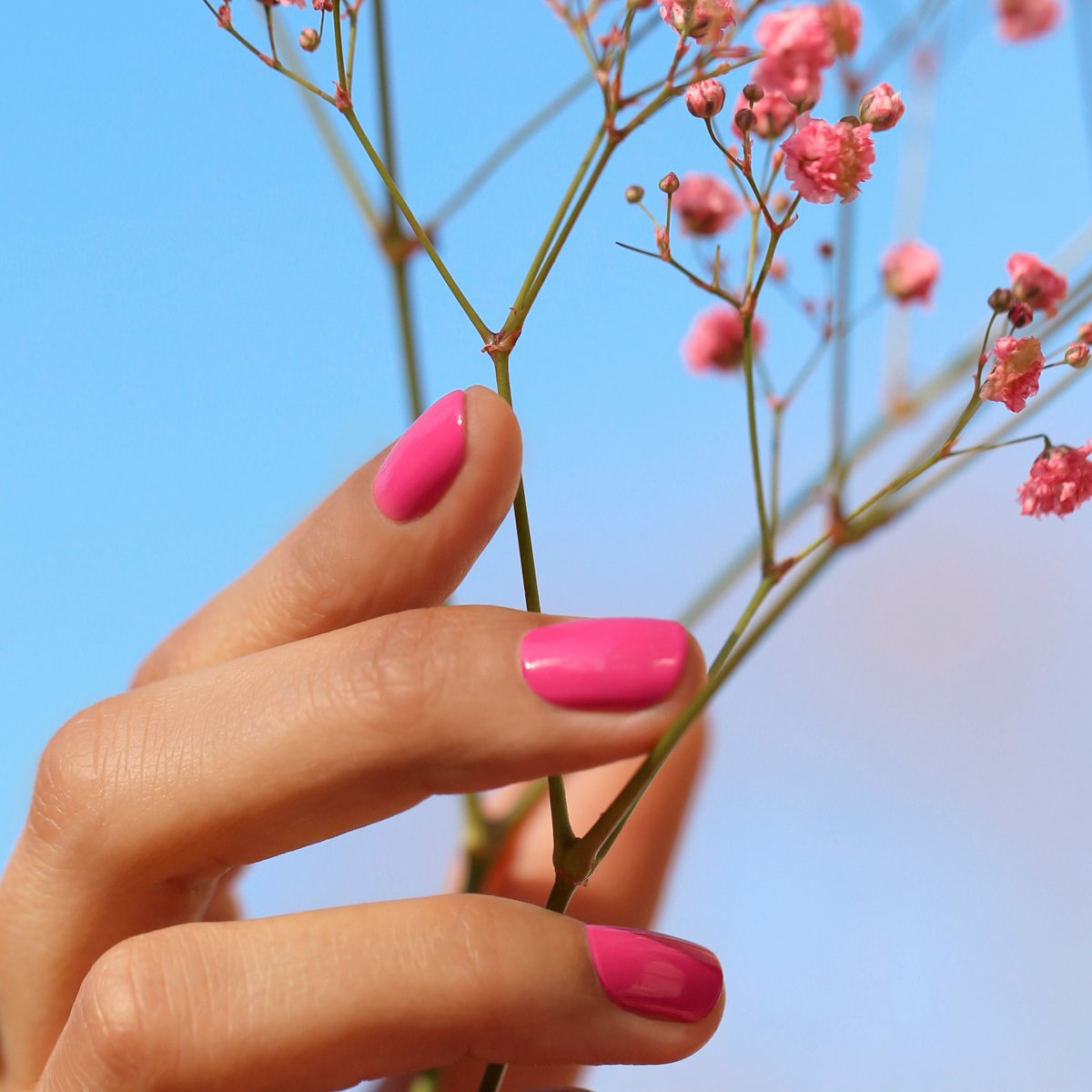 Une main portant Pétula de Manucurist, un vernis à ongles rose éclatant aux sous-tons bleus, tient de délicates fleurs roses sur fond de ciel bleu limpide.