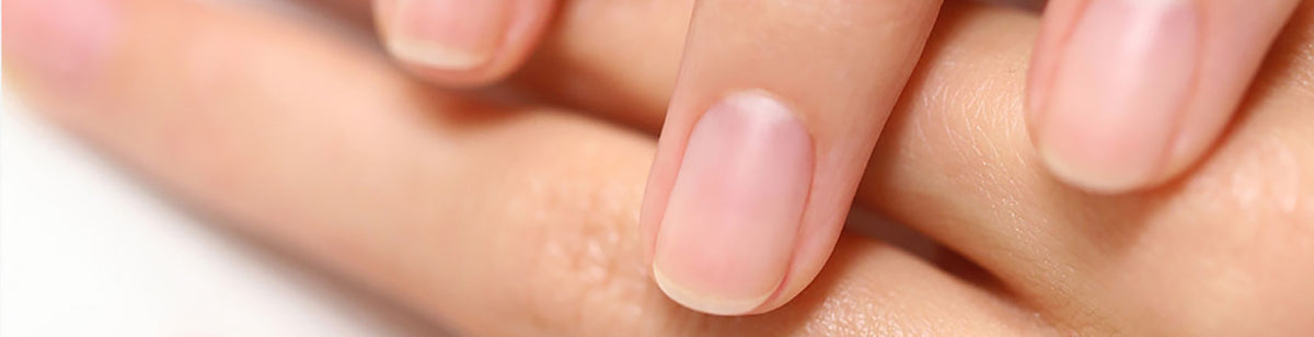 Close-up of well-groomed hands with natural, unpolished fingernails, showing healthy and clean nails resting gently on each other.