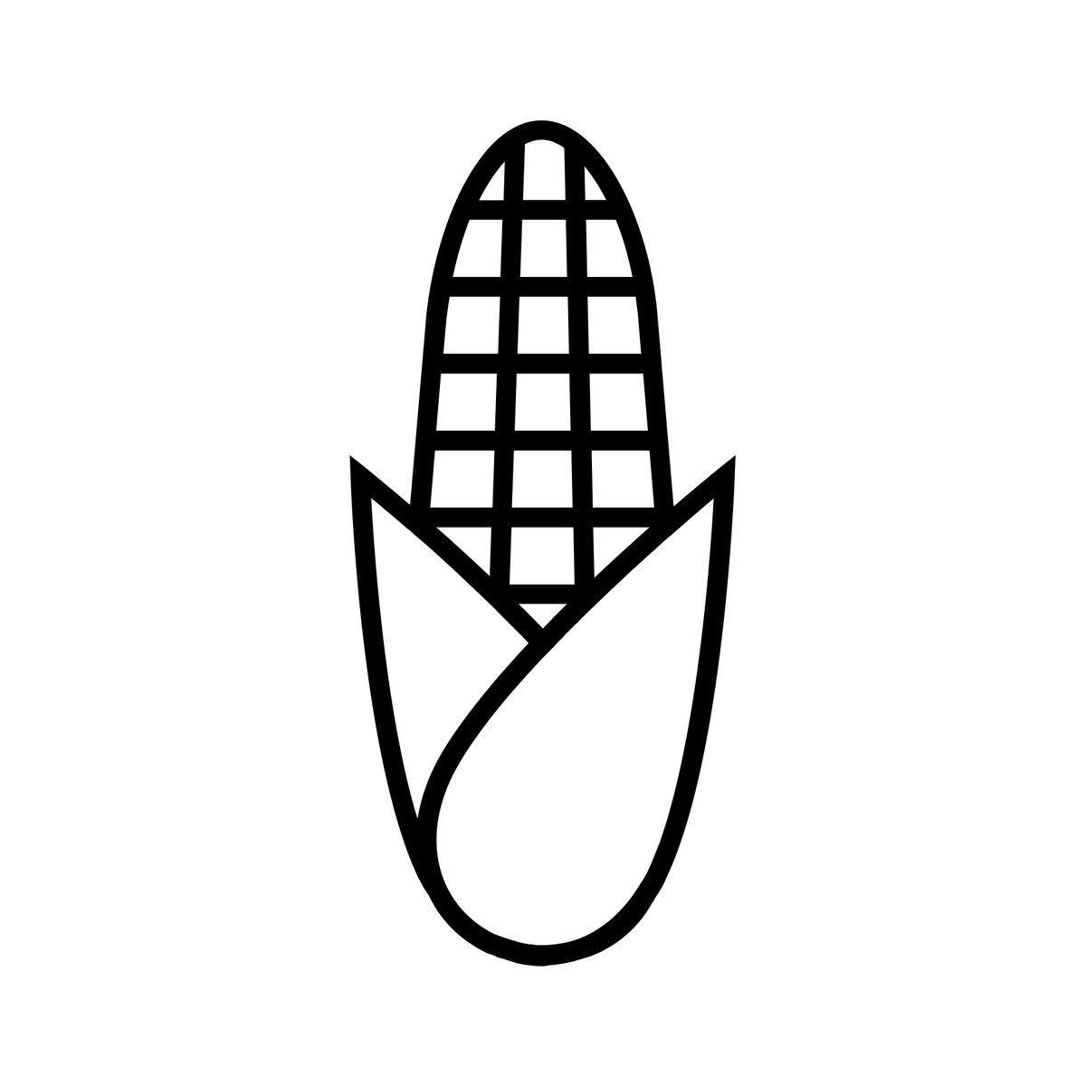 A simple black and white line drawing of an ear of corn with its husk partially opened, revealing kernels inside.
