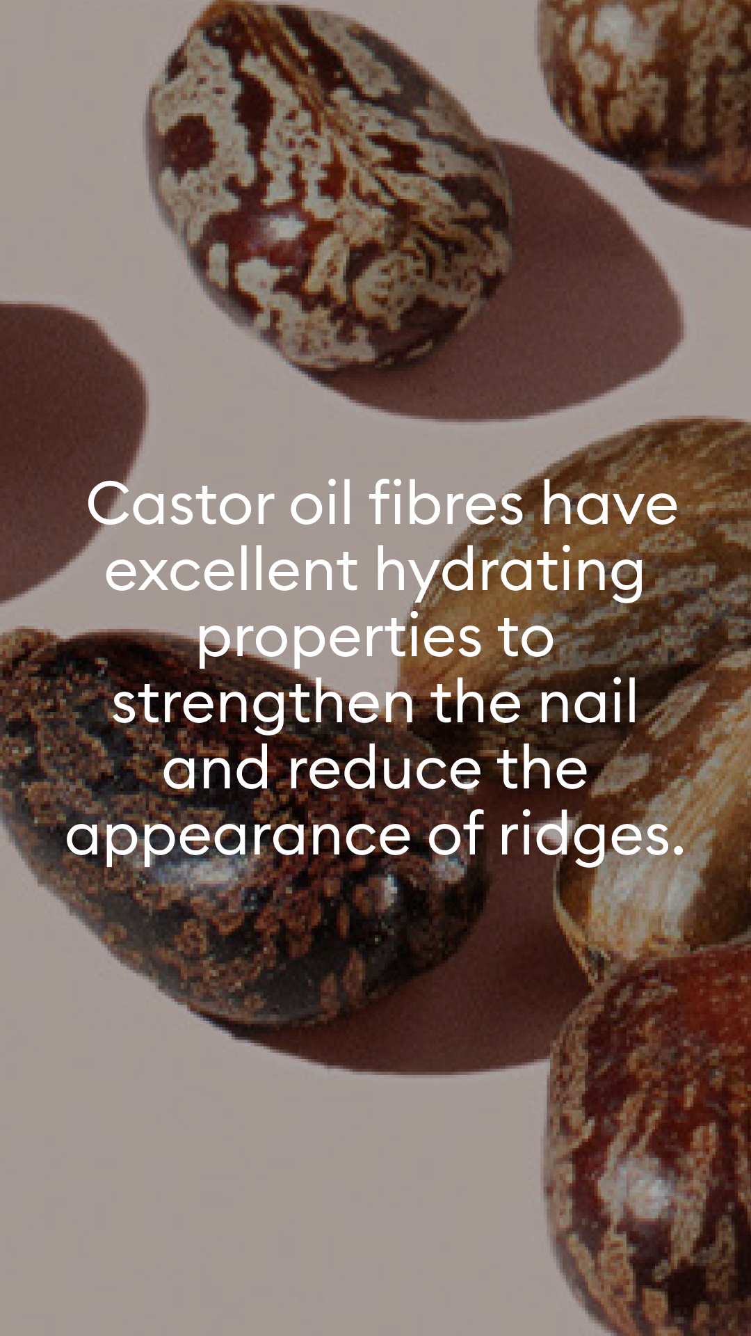 Close-up of castor seeds on a pink surface with text overlay: Castor oil fibres have excellent hydrating properties to strengthen the nail and reduce the appearance of ridges..
