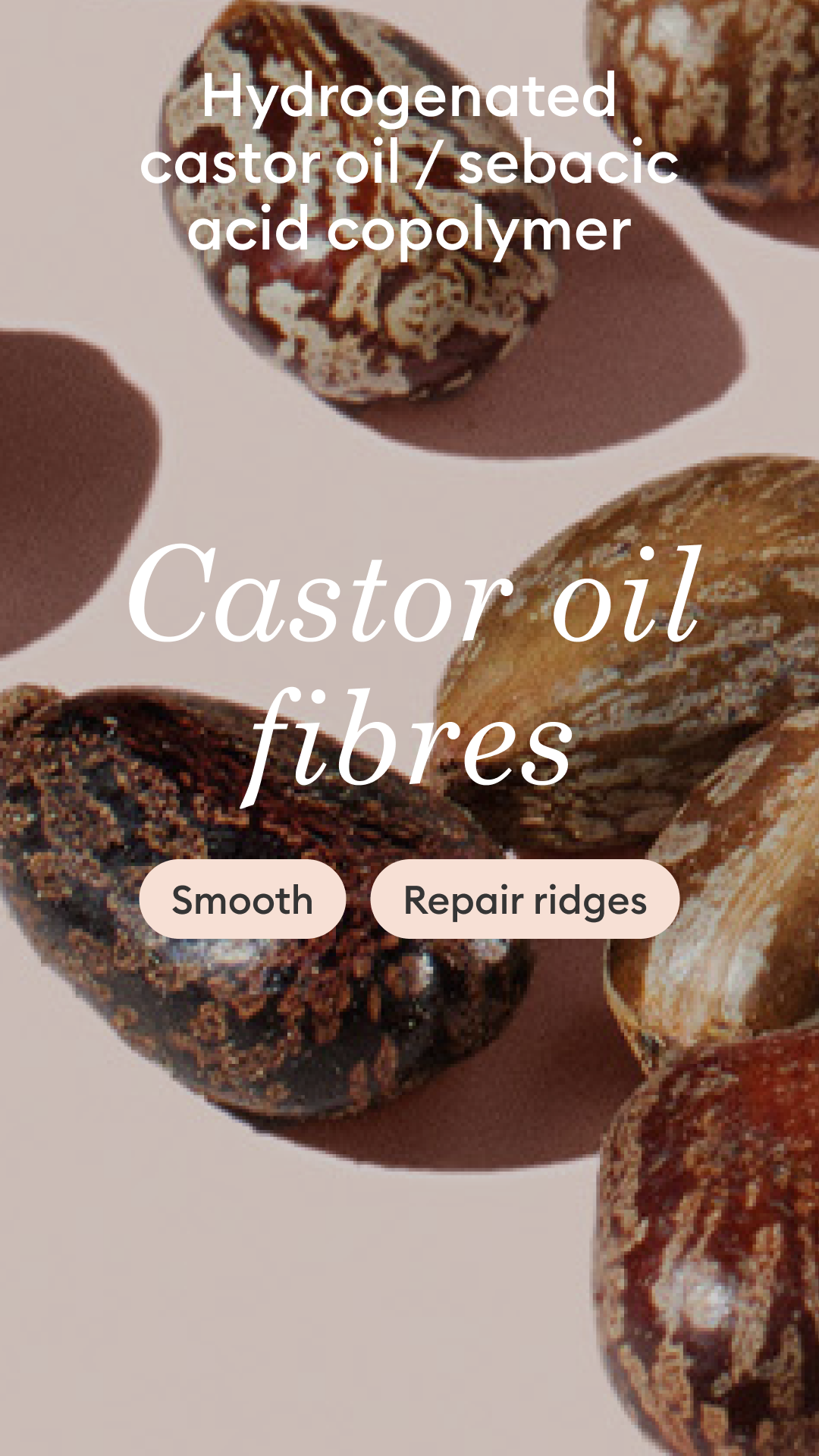 Close-up of castor beans with overlaid text: Hydrogenated castor oil/sebacic acid copolymer. Castor oil fibres. Smooth. Repair ridges..
