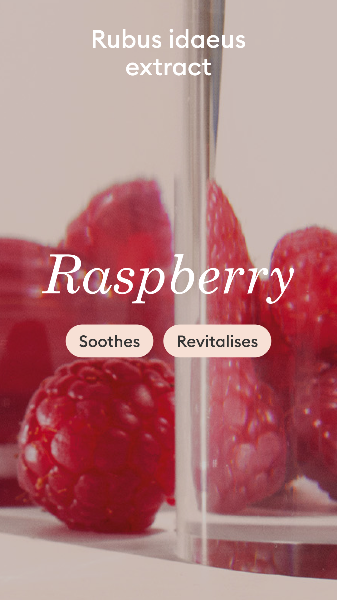 Close-up of fresh raspberries with text overlay: Rubus idaeus extract, Raspberry, Soothes, and Revitalises. One raspberry is inside a clear cylindrical container.