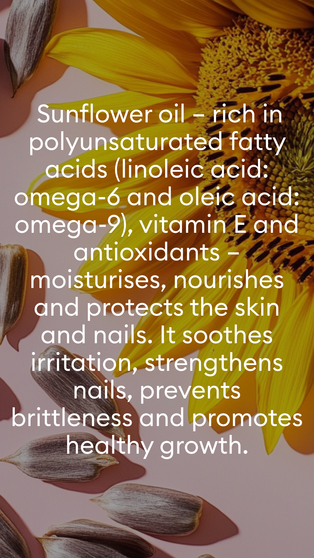 A sunflower and sunflower seeds surround text describing sunflower oils benefits for skin and nails, mentioning fatty acids, vitamin E, antioxidants, and its nourishing and protective properties.