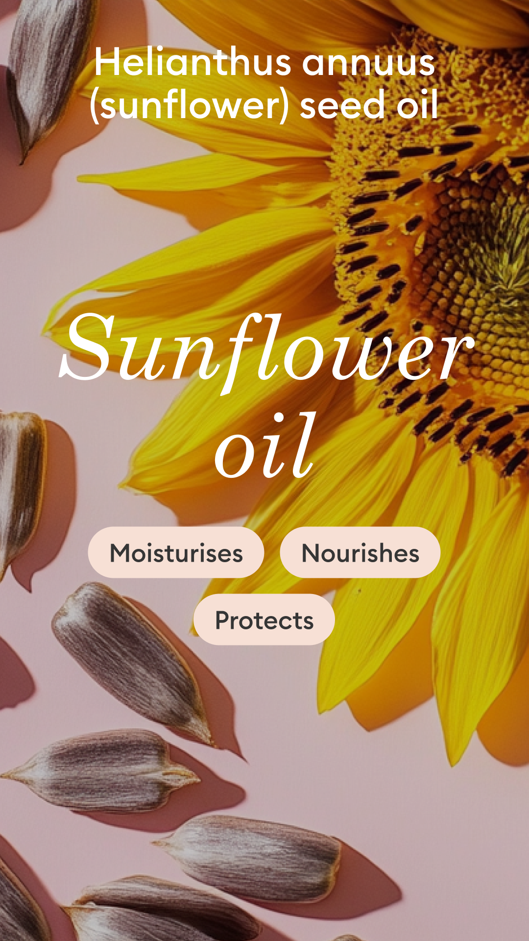 Close-up of a sunflower and seeds on a pink background. Text reads Helianthus annuus (sunflower) seed oil, Sunflower oil, and notes its moisturizing, nourishing, and protective benefits.