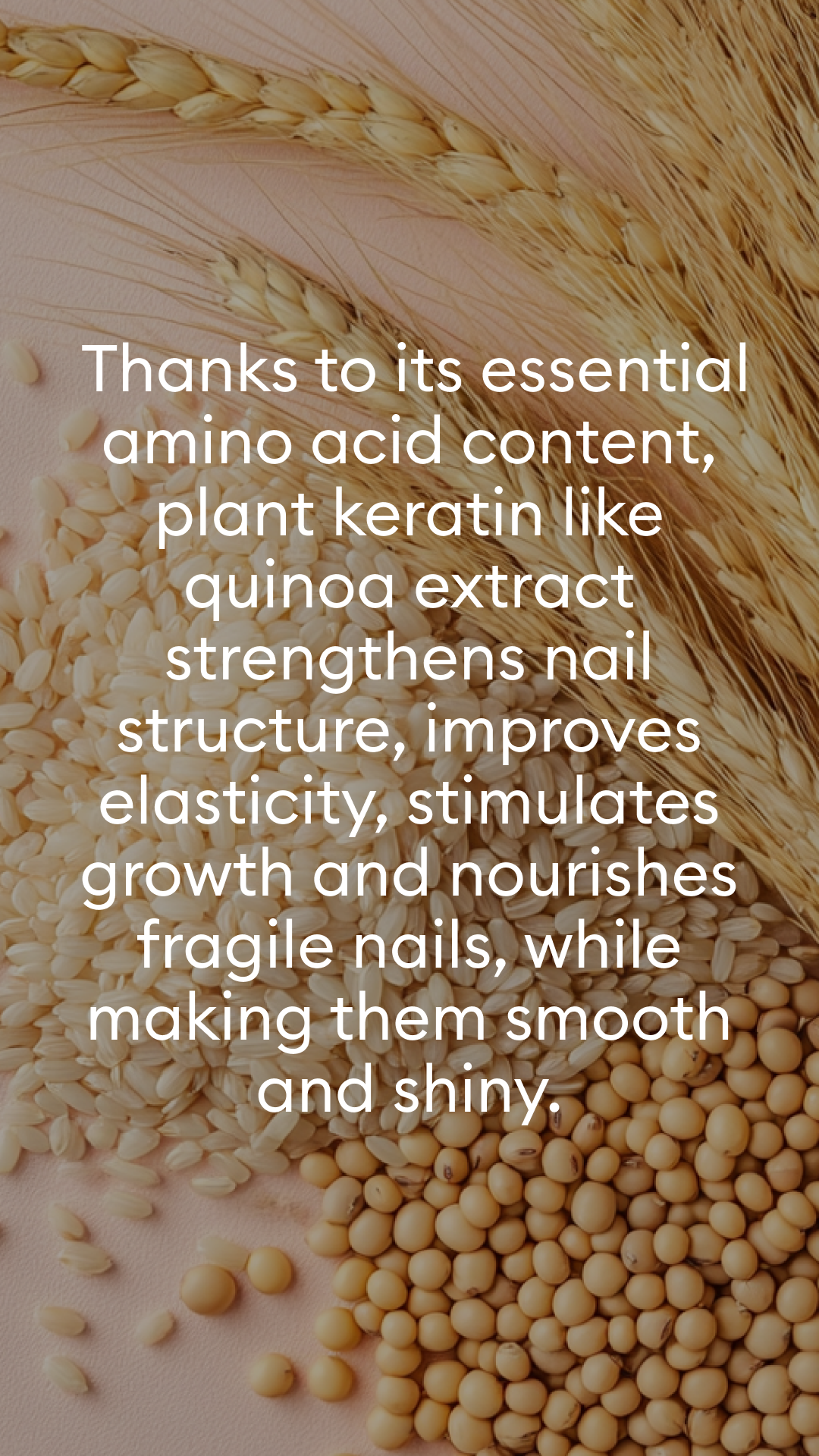 A closeup of grains and wheat with text describing the benefits of plant keratin like quinoa extract for strengthening and nourishing nails, making them smooth and shiny.