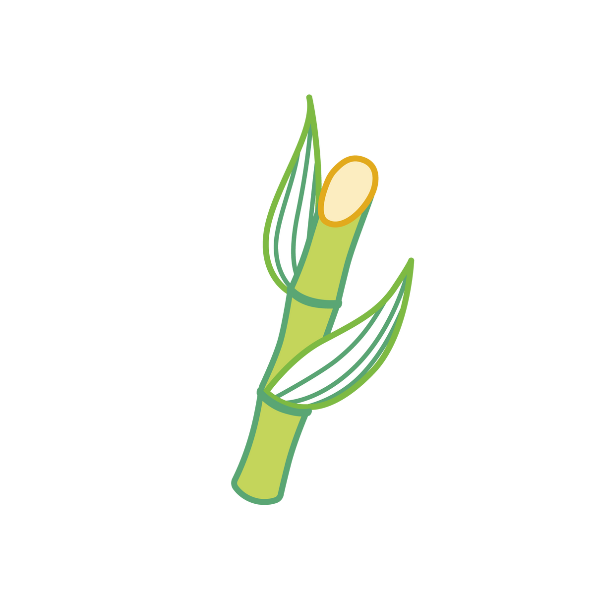 A simple illustration of a green sugarcane stalk with two leaves and a cut end, drawn in a minimal, cartoon style on a plain white background.