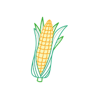 A simple illustration of a yellow ear of corn with green husks partially peeled back, shown on a plain white background.