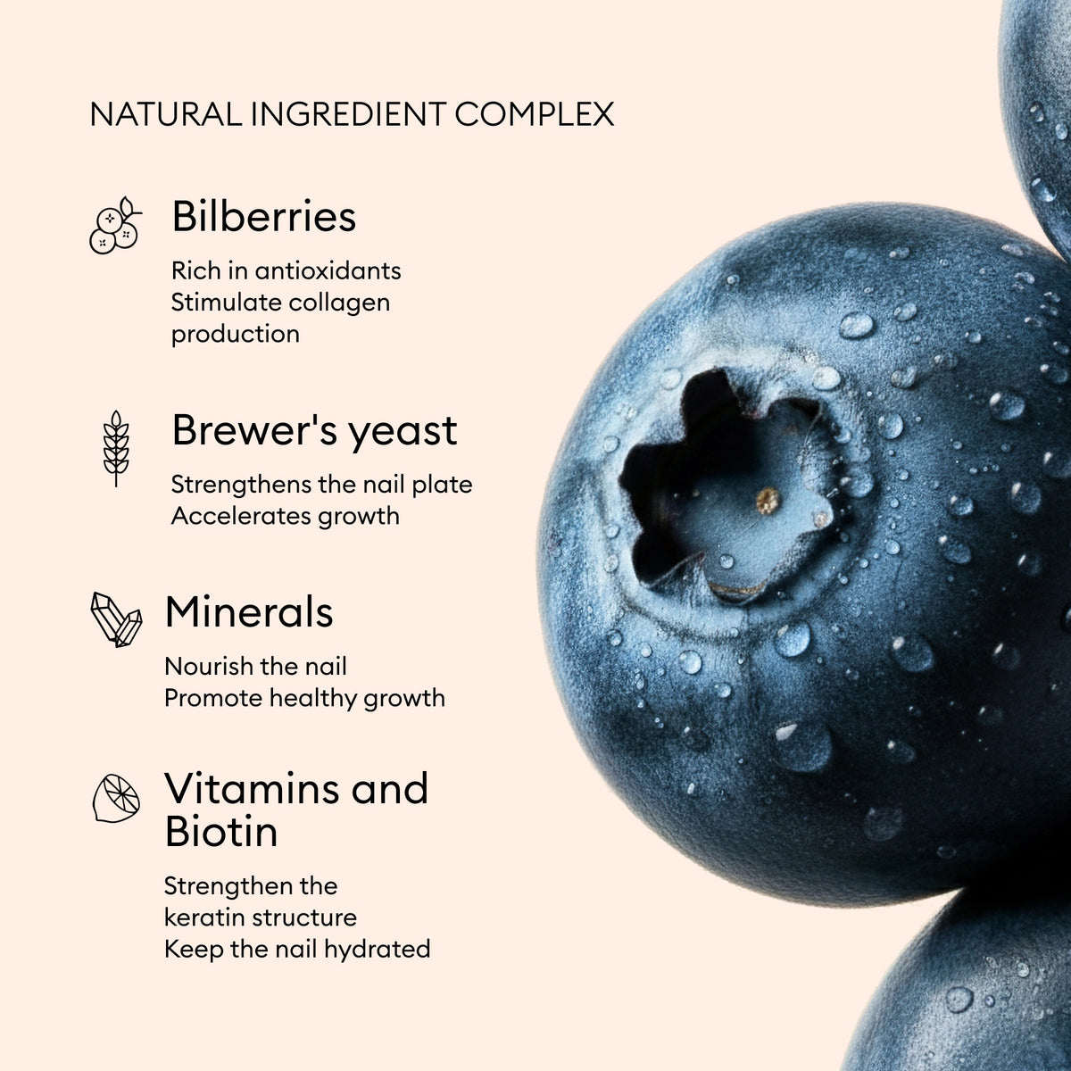Close-up of dew-covered bilberries on the right, next to text listing Nail Boost’s natural ingredients: bilberries, brewer&