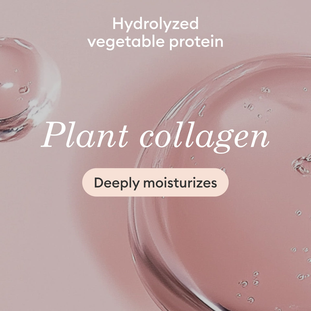 Un texte sur fond rose avec des bulles translucides indique : Protéine végétale hydrolysée. Collagène végétal. Hydrate en profondeur.