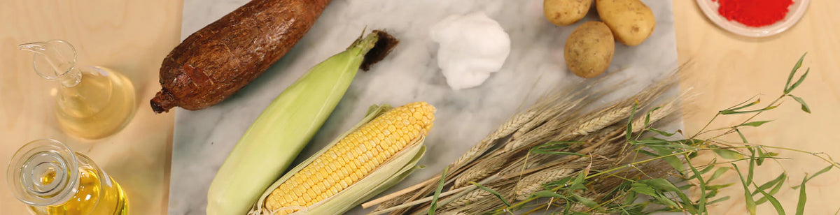 A marble surface with an ear of corn, a peeled ear of corn, a brown root vegetable, three potatoes, a bunch of wheat stalks, a glass bottle of oil, a small pile of white powder, and a dish of red powder.