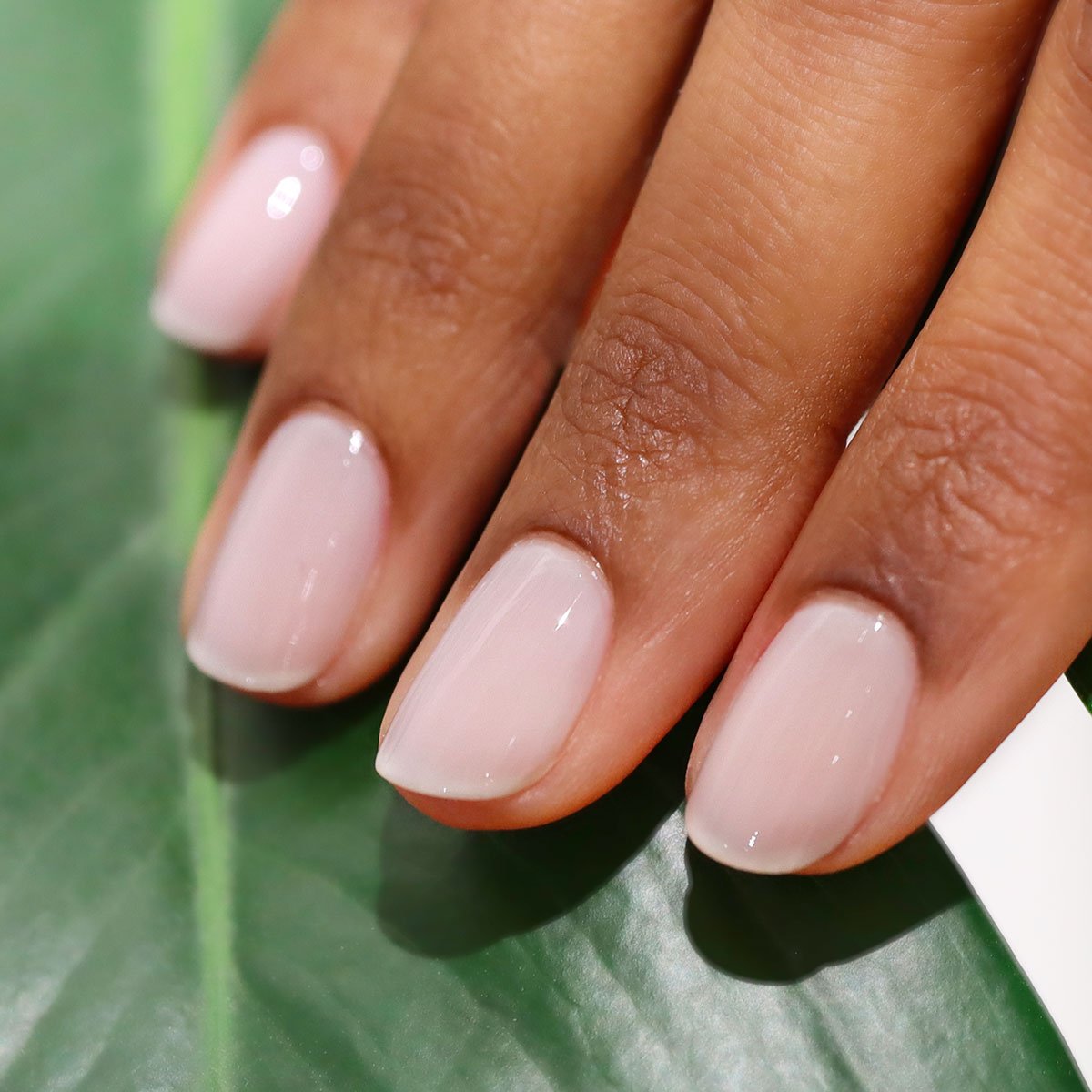 Gros plan sur une main aux ongles soigneusement manucurés, peints avec Milky White de Manucurist — un vernis transparent et glossy — posée sur un fond de feuilles vertes.
