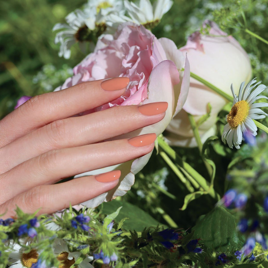 Une main aux ongles soigneusement manucurés dans la teinte Peach de Manucurist touche délicatement une pivoine rose clair, entourée de marguerites et de feuillage vert dans un jardin.